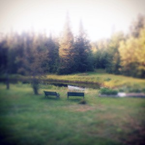 Back Yard Carlson's Lodge Pond benches and sunset