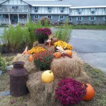 Carlson's lodge Fall decorations pumpkins hay bales and flowers