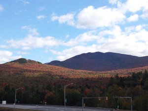 View from center of town, fall foliage beautiful trees