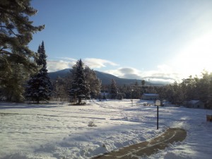 Fresh snow and bright sun in the front yard in winter