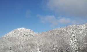 Snow covered forrest Franconia Notch Bald Mountain