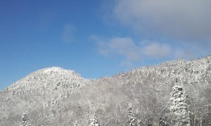 Snow covered forrest Franconia Notch Bald Mountain