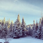 Back yard Carlson's Lodge pine trees covered in snow pond skating sunset