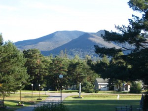 Front Carlson's Lodge North Twin Summer evening sunny
