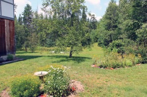 Back Yard Carlson's Lodge gardens summer flowers