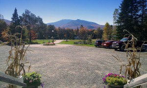 Front Yard Carlson's Lodge fall decorations corn stalks fall foliage