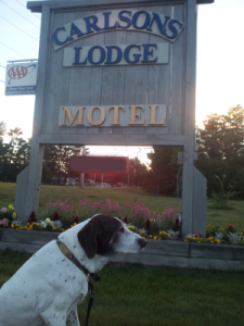 Sammy dog Carlson's Lodge Sign summer flowers