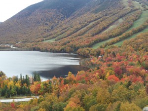 Fall_2012-10-02-12.16.43
