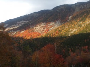 Fall_2012-10-05-16.34.26