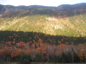Fall_2012-10-05-16.34.40
