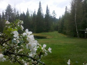Summer_2012-05-15-18.25.44