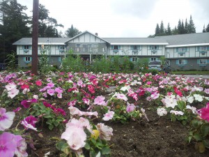Summer_2012-07-05-15.42.34