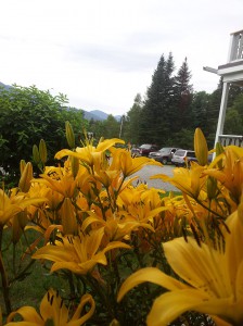 Summer_2012-07-07-11.31.20