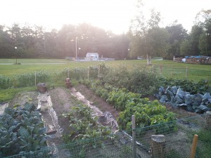 Summer_2012-07-31-20.02.53