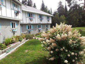 Summer_2012-09-06-11.07.32