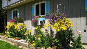 Summer_Motel-in-the-Summer-061